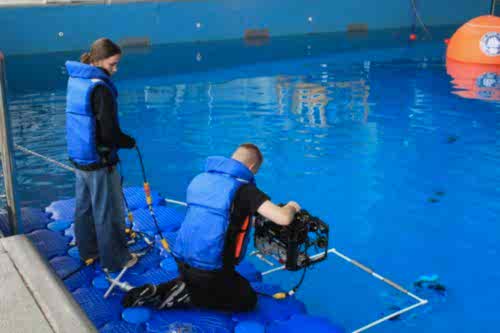 Итоги Региональных соревнований во Владивостоке